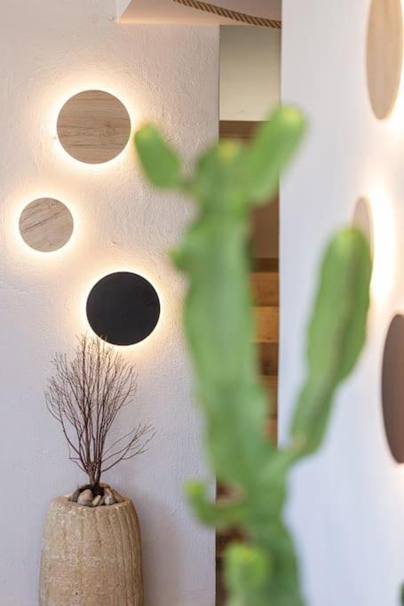 Cactopia Apartments - Stapelia 罗希姆诺 外观 照片
